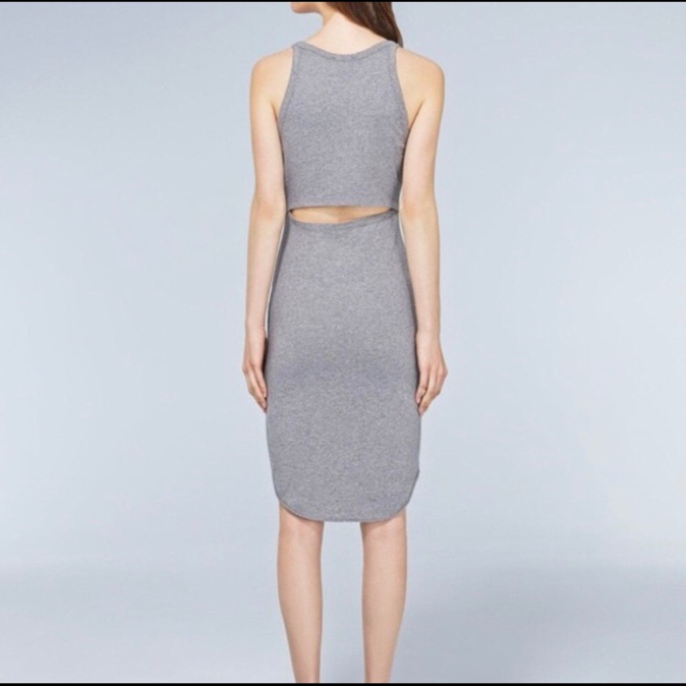 🌿ARITZIA Wilfred Grey Free Yasmin Tank Dress